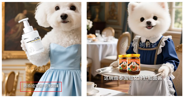 真离谱：猫狗AI土味短剧 居然能月入50万！ - 中华网软件