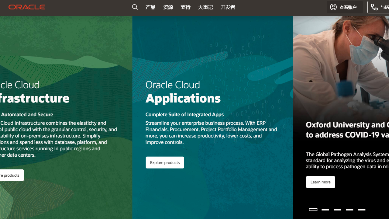 Oracle Database 11g客户端安装包下载，Oracle Database 11g Express Edition Windows ...