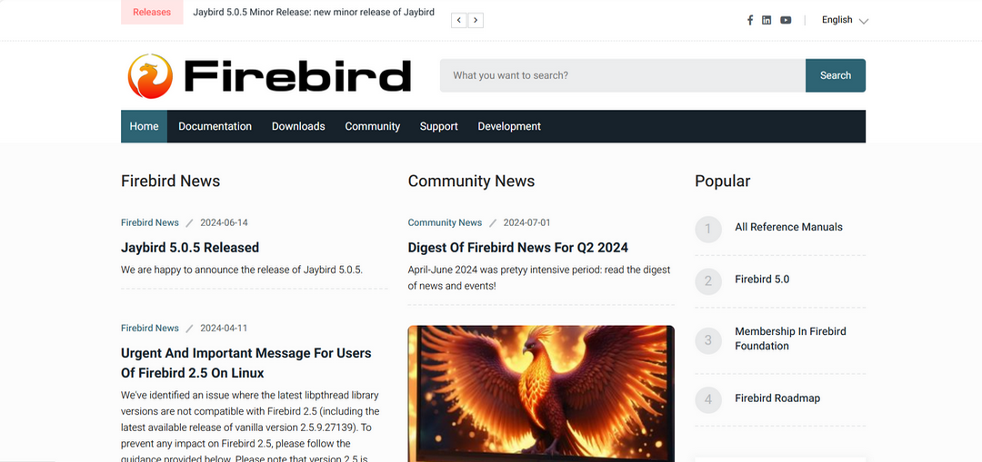 Firebird数据库安装包下载 - Firebird官网最新版下载 - 中华网软件