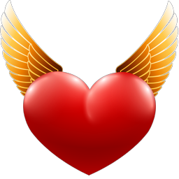 DNS Angel