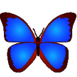 bkViewer