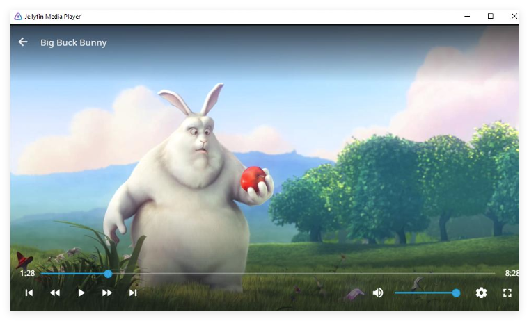Terminus Media Player